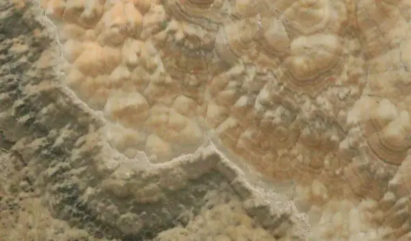 Оникс Onice landscape