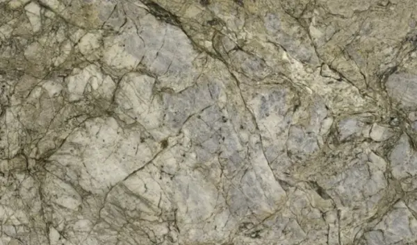 Гранит Silver roots